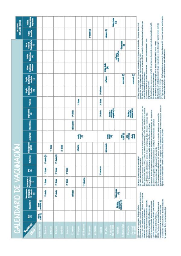 CUADERNO PEDIÁTRICO CELESTE - Imagen 3