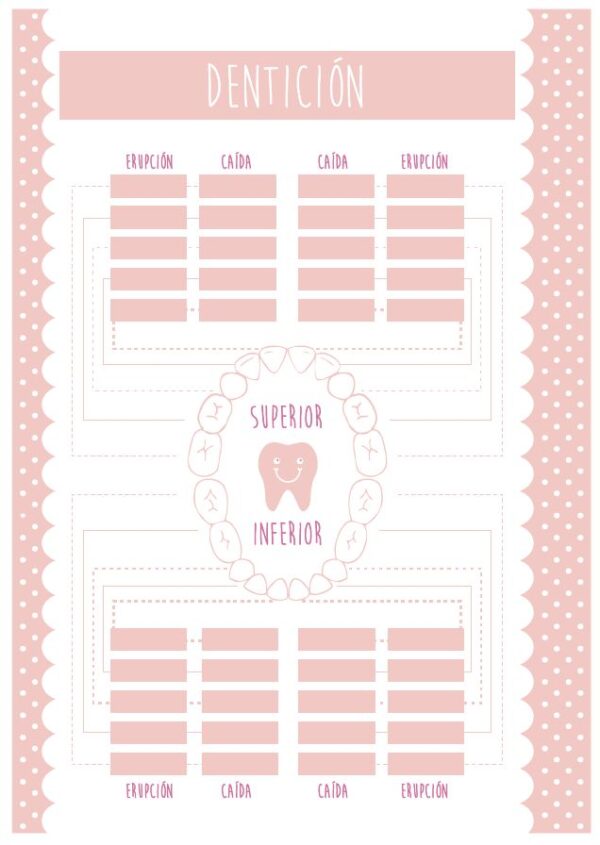 Interior del cuaderno