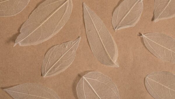 Papel decorado