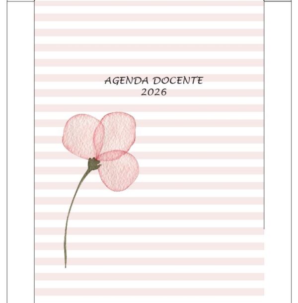 Caja para Agenda Docente A5 Rosa Acqua (2 motivos)