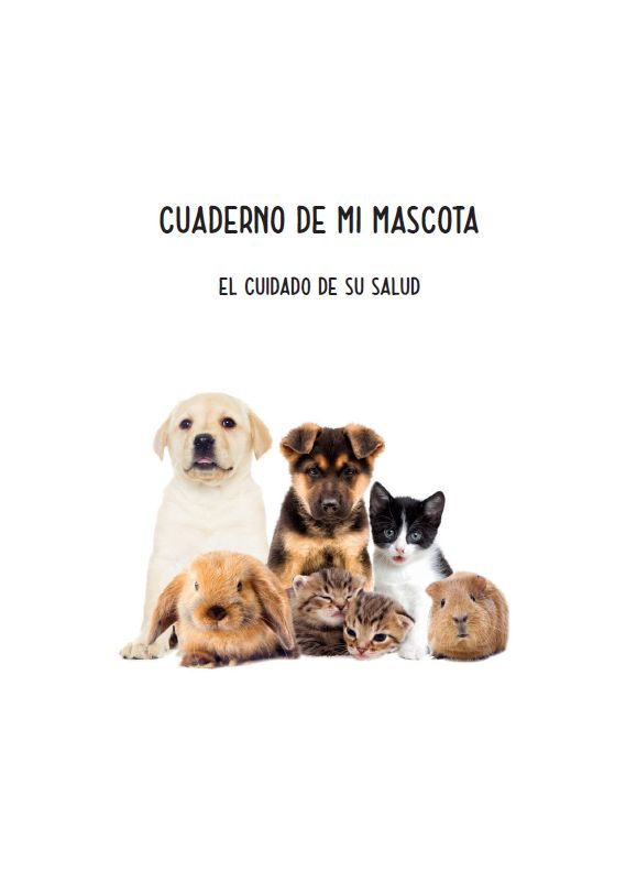 Interior del cuaderno