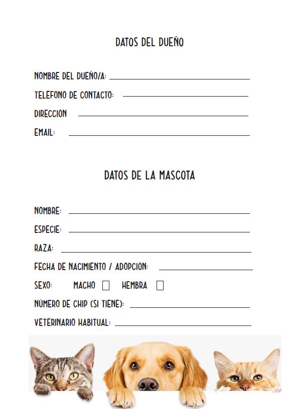 Interior del cuaderno