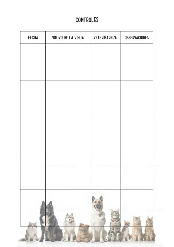 Interior del cuaderno