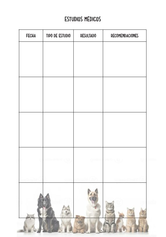 CUADERNO MI MASCOTA (Para anillar o coser) - Imagen 5