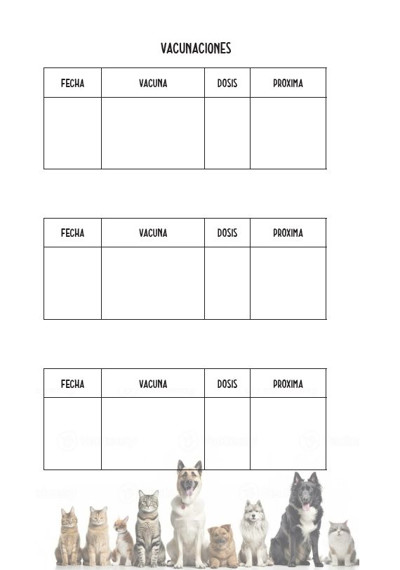 Interior del cuaderno