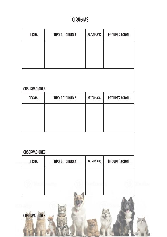 Interior del cuaderno