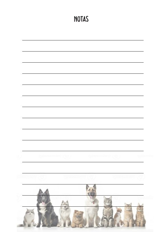 Interior del cuaderno