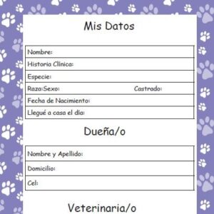 Interior del Cuaderno