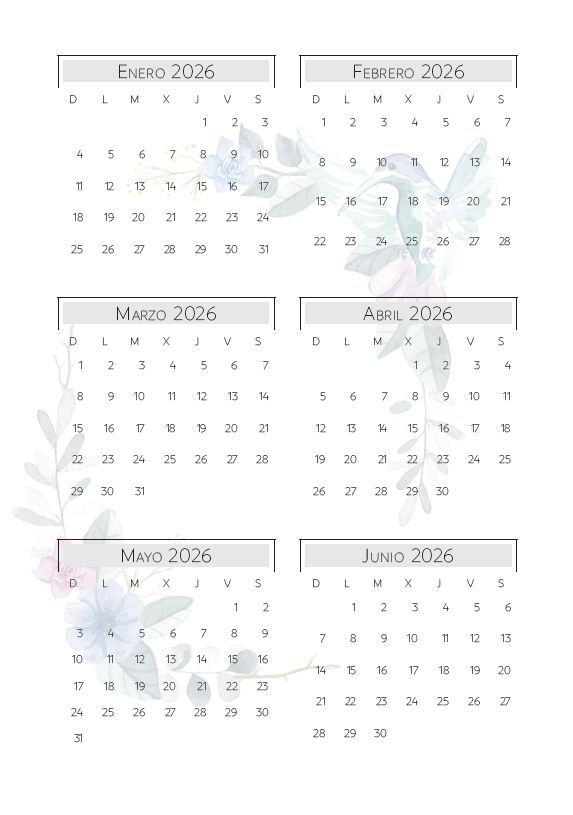 Interior de la agenda