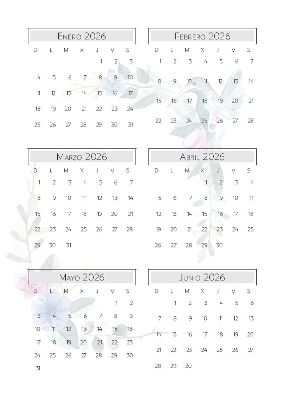 Agenda DIARIA Colibríes 2026 (Para anillar) - Imagen 5