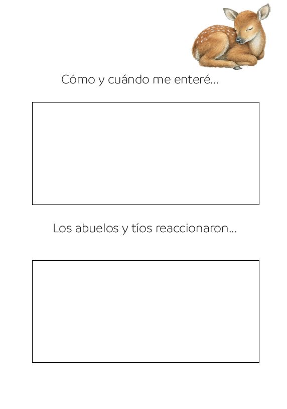 Interior del cuaderno