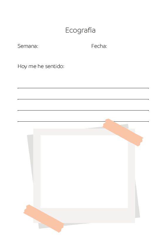 Interior del cuaderno