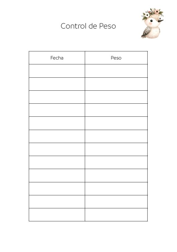 Interior del cuaderno